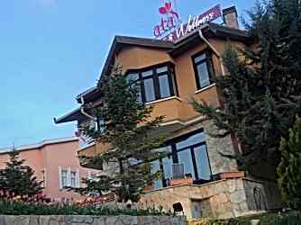 Merkezimiz Hakkında