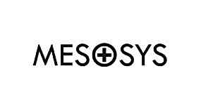 Mesosys